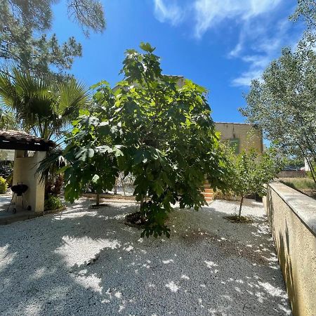 Marseillan Plage Joli T2 Екстериор снимка